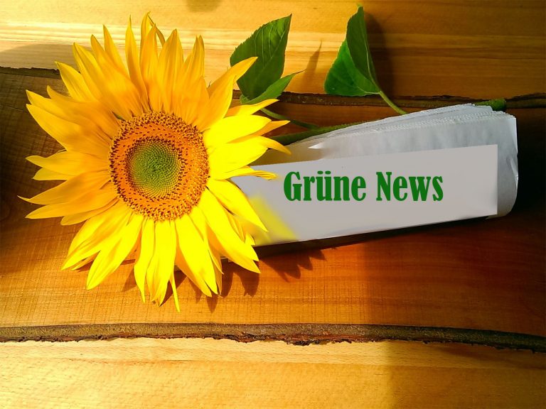 Drei Grüne wollen Direktkandidat für Weiden, Neustadt und Tirschenreuth werden