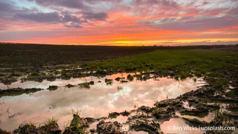 Bayerns Grundwasser ist zunehmend belastet